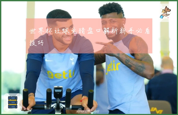 世界杯让球竞猜盘口解析新手必看技巧