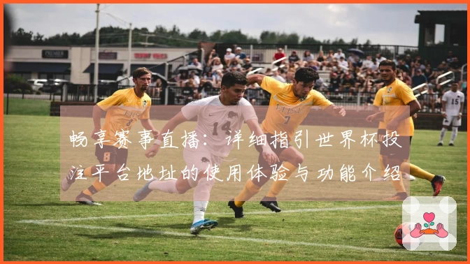 畅享赛事直播：详细指引世界杯投注平台地址的使用体验与功能介绍