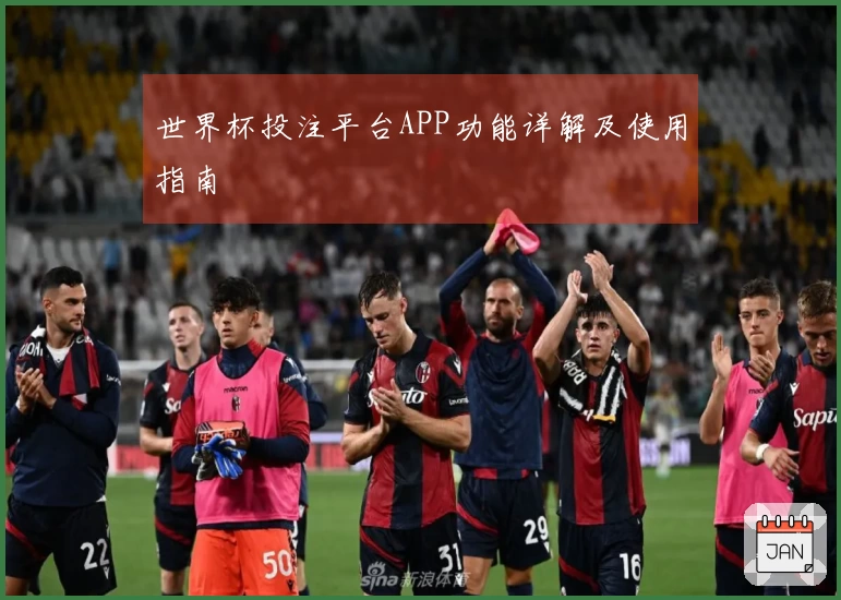 世界杯投注平台APP功能详解及使用指南