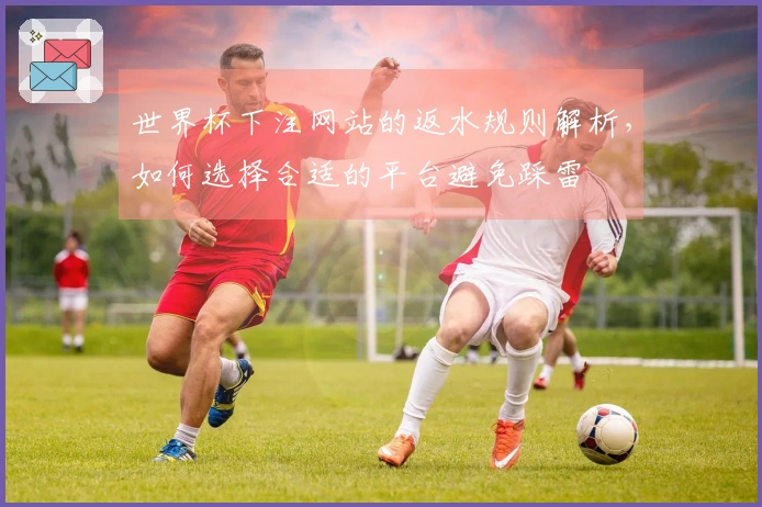 世界杯下注网站的返水规则解析，如何选择合适的平台避免踩雷