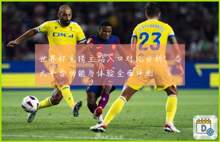 世界杯竞猜主站入口对比分析：各大平台功能与体验全面评测