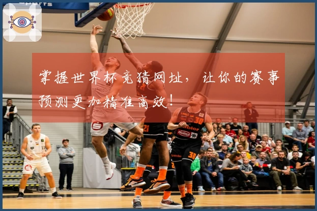 掌握世界杯竞猜网址，让你的赛事预测更加精准高效！