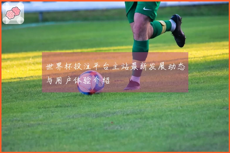 世界杯投注平台主站最新发展动态与用户体验介绍