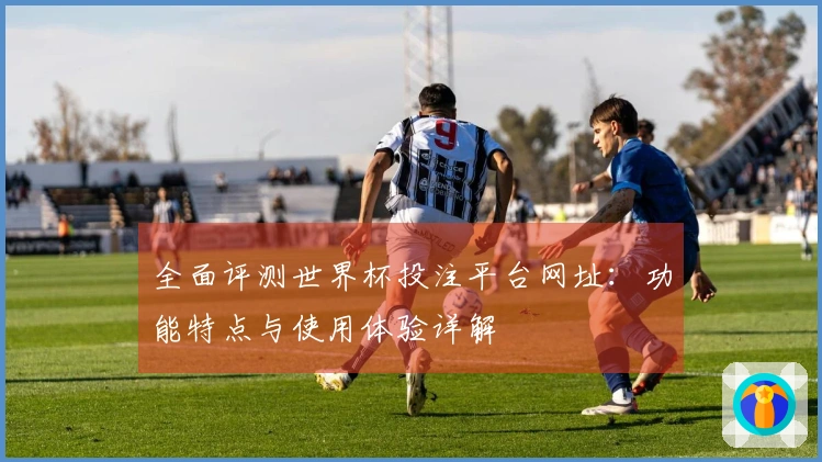 全面评测世界杯投注平台网址：功能特点与使用体验详解