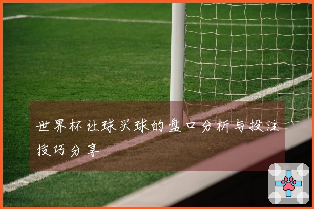 世界杯让球买球的盘口分析与投注技巧分享
