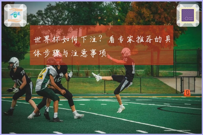 世界杯如何下注？看专家推荐的具体步骤与注意事项
