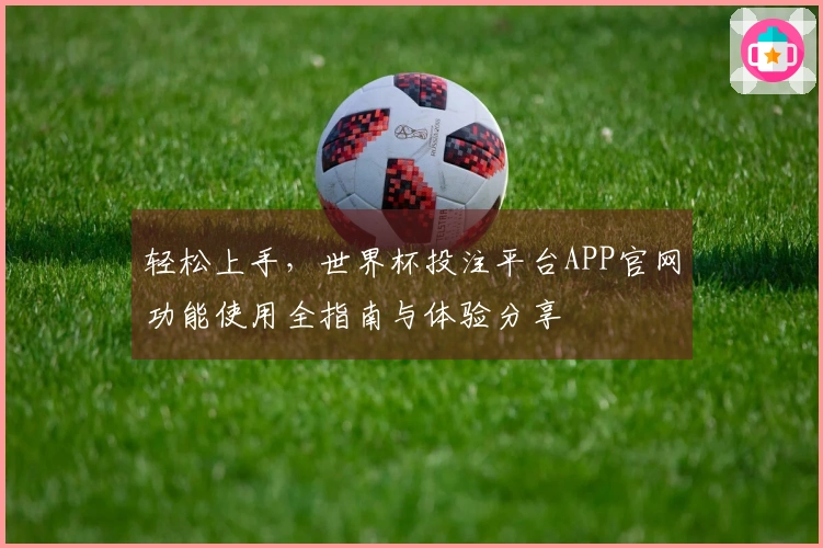轻松上手，世界杯投注平台APP官网功能使用全指南与体验分享