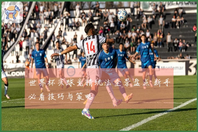 世界杯买球竞猜玩法全景盘点 新手必看技巧与策略
