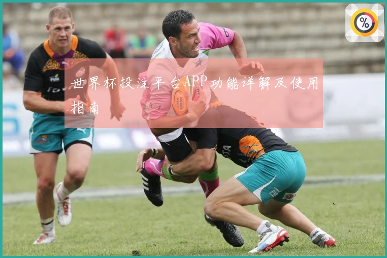 世界杯投注平台APP功能详解及使用指南