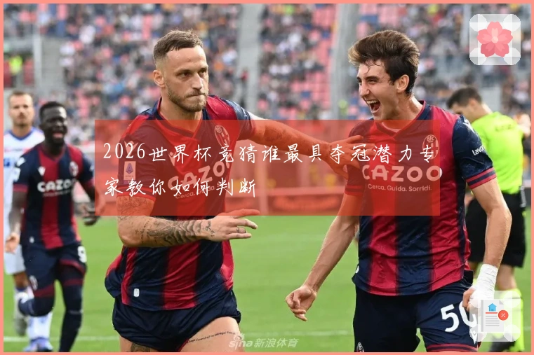 2026世界杯竞猜谁最具夺冠潜力专家教你如何判断