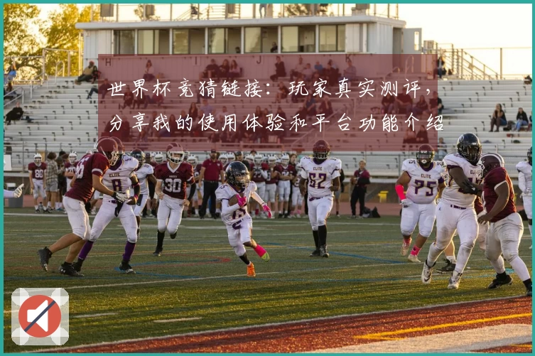 世界杯竞猜链接：玩家真实测评，分享我的使用体验和平台功能介绍