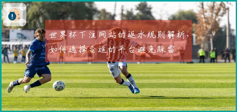 世界杯下注网站的返水规则解析，如何选择合适的平台避免踩雷