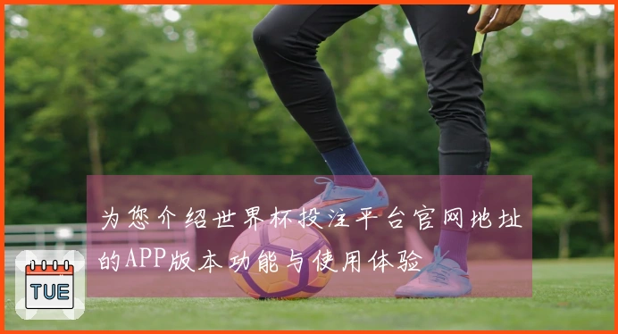 为您介绍世界杯投注平台官网地址的APP版本功能与使用体验