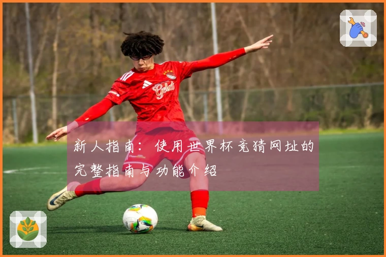 新人指南：使用世界杯竞猜网址的完整指南与功能介绍