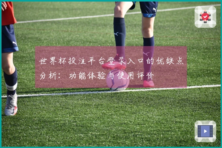 世界杯投注平台登录入口的优缺点分析：功能体验与使用评价