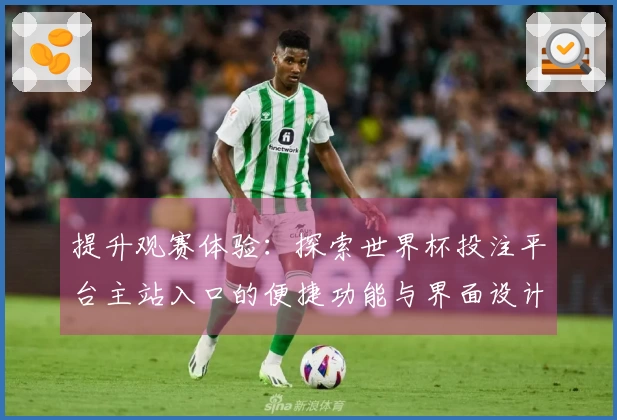 提升观赛体验：探索世界杯投注平台主站入口的便捷功能与界面设计