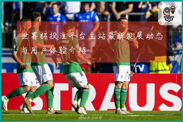 世界杯投注平台主站最新发展动态与用户体验介绍