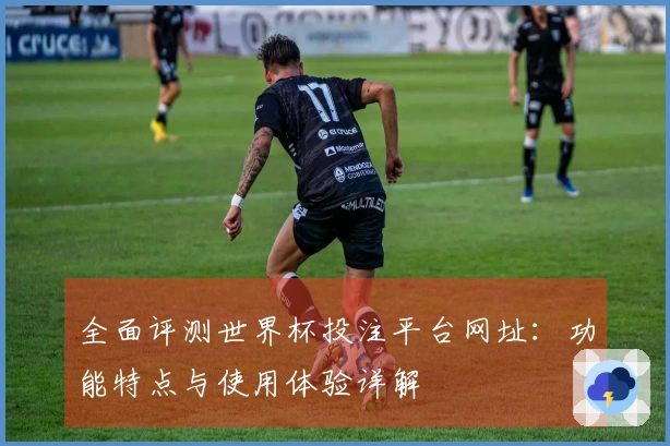 全面评测世界杯投注平台网址：功能特点与使用体验详解