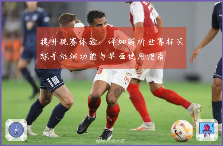 提升观赛体验，详细解析世界杯买球手机端功能与界面使用指南