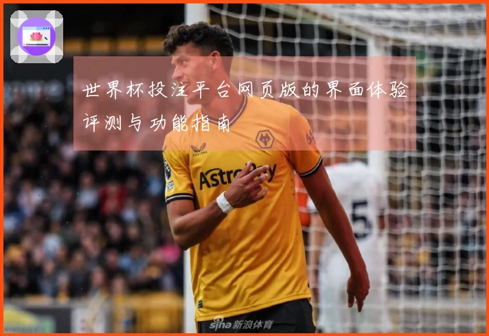 世界杯投注平台网页版的界面体验评测与功能指南